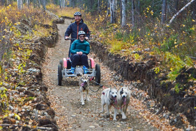 Mush Your Own Sled Dog Team (Summer/Fall Tour) - Logistics and Facilities