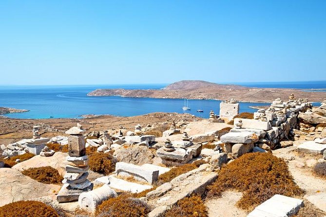 Mykonos to Delos Tour With Terrace of Lions, House of Dionysus - Inclusions and Highlights