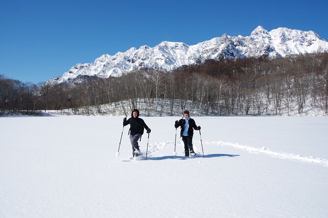 Nagano Snowshoe Hiking Tour - Experience Requirements and Guidelines