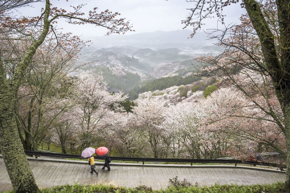 Nara Like a Local: Customized Guided Tour - Experience Highlights in Nara