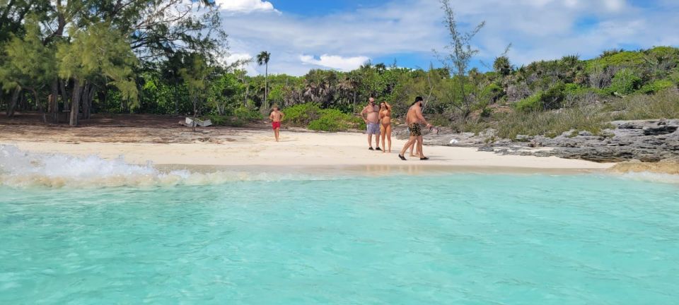 Nassau: 3 Islands Tour, Snorkel, Pig Beach, Turtles & Lunch - Activity Highlights