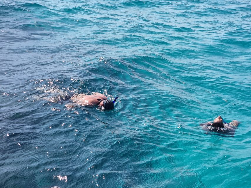 Nassau: Rose Island Snorkel, Turtles & Beach Speedboat Tour - Activity Details