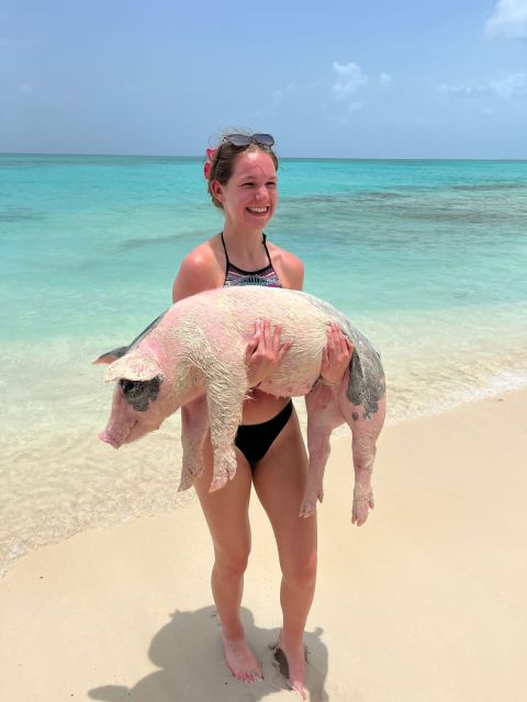 Nassau: Snorkel W/ Turtles, Feed Pigs, Lunch at Beach Club - Rose Island Adventure Details
