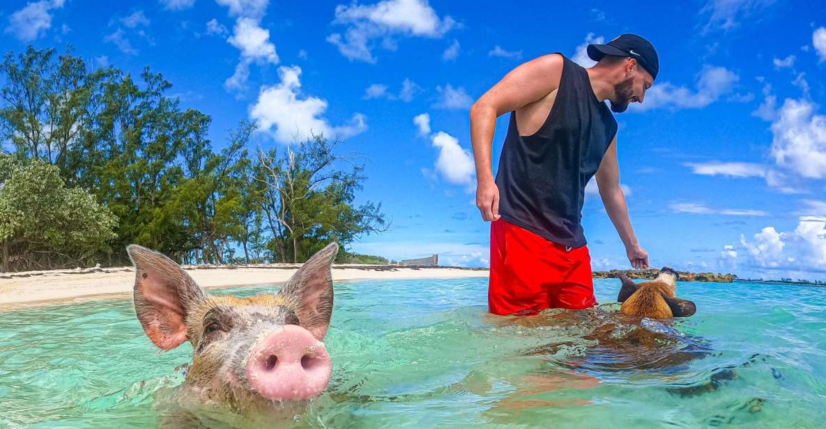 Nassau: Sun Cay and Swimming Pigs Boat Trip With Lunch - Booking Information