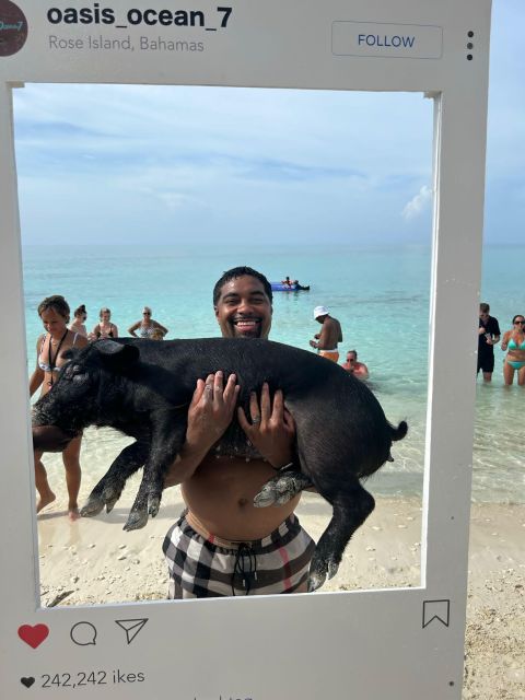 Nassau: Swimming Pigs, Turtle Viewing, Snorkeling, and Lunch - Tour Description