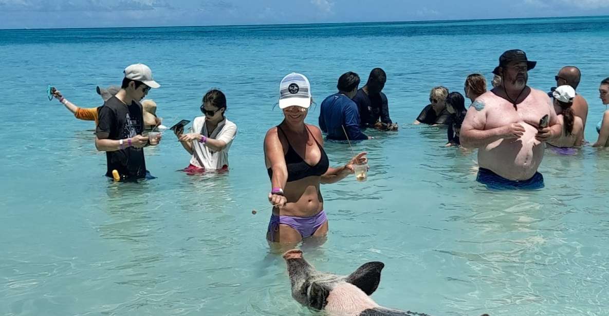 Nassau: Swimming With Pigs, Snorkeling, and Sightseeing Tour - Activity Highlights