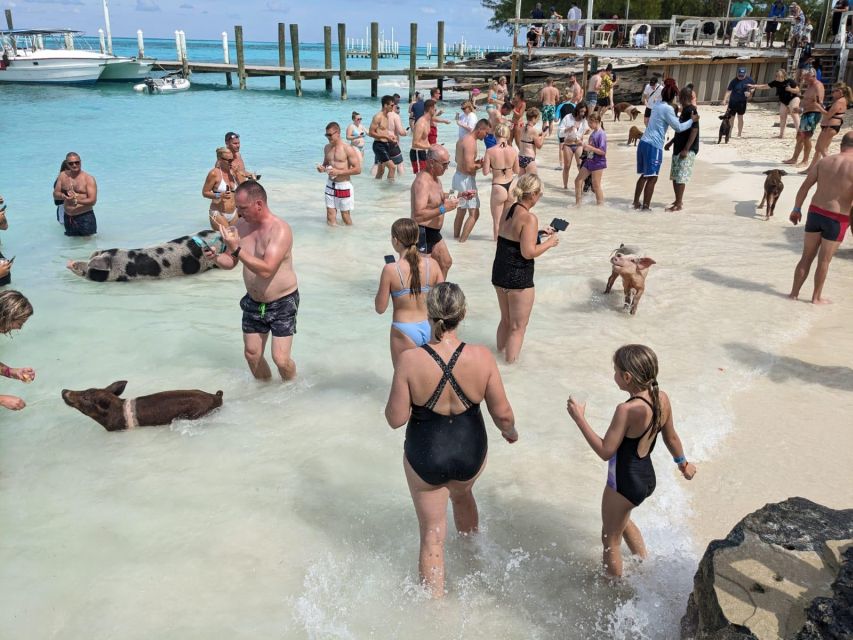 Nassau: Trip to Pig Beach and 3 Snorkeling Stops With Lunch - Customer Reviews Summary