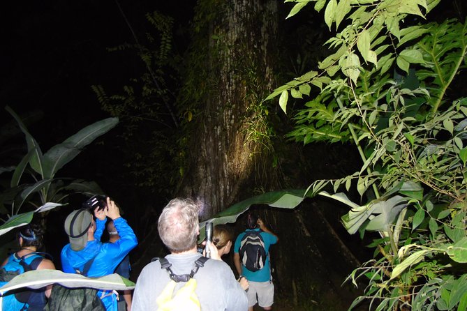 Nativos Corcovado Night Hike in DrakeBay - Booking Information