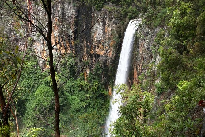 Natural Bridge & Springbrook Waterfalls Tour - Inclusions