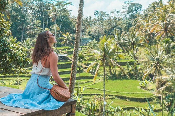 Natural & Cultural Highlights of Ubud: Half-Day Tour  - Seminyak - Price and Duration Details