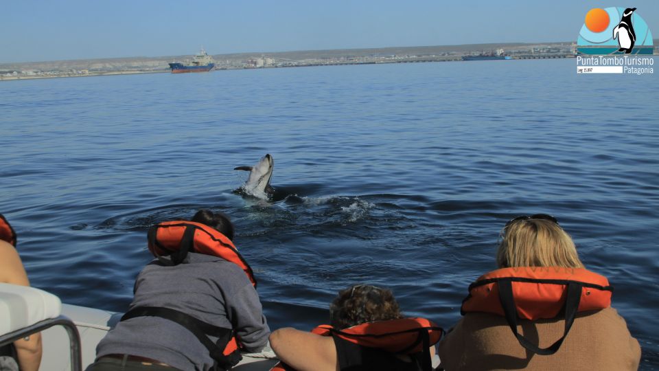 Nautical Tour With Dolphin Search in Puerto Madryn - Accessible Starting Location and Sites