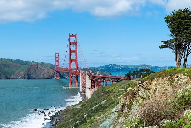 Nearly Private San Francisco Tour Including Sausalito - Guest Reviews and Feedback