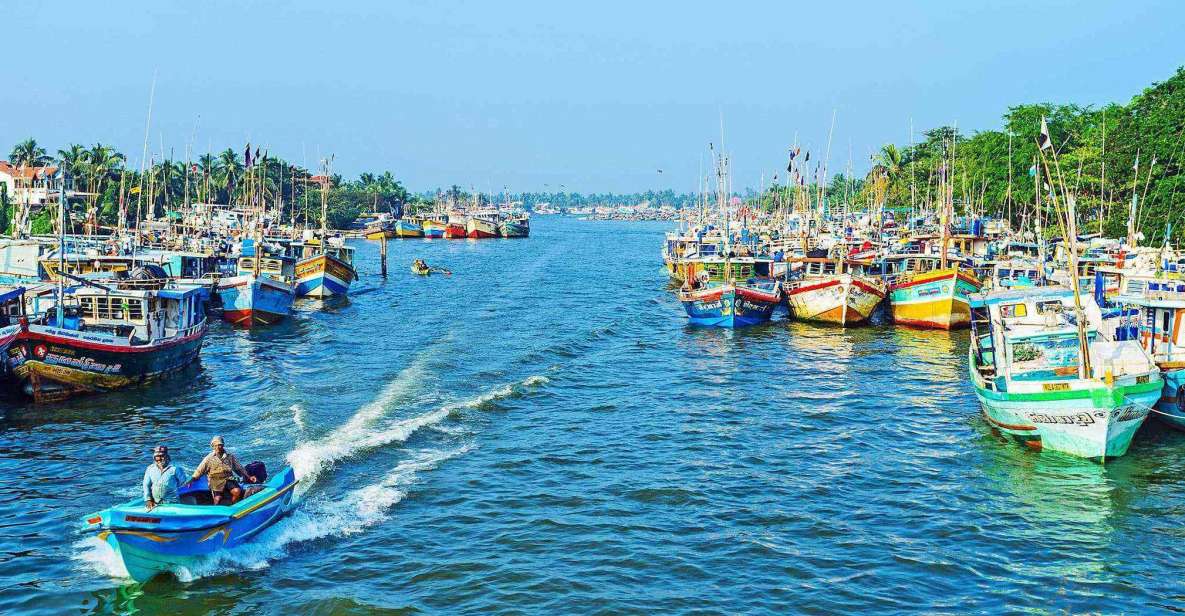 Negombo: Dutch Canal, Negombo Lagoon, Muthrajawela Boat Tour - Experience Highlights