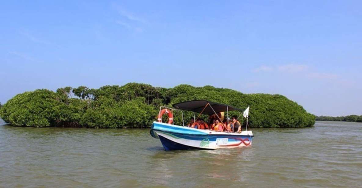 Negombo: Muthurajawela Wetland & Dutch Canal Boat Adventure - Full Description