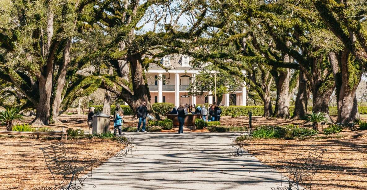 New Orleans: Oak Alley Plantation & Airboat Swamp Combo Tour - Experience Highlights