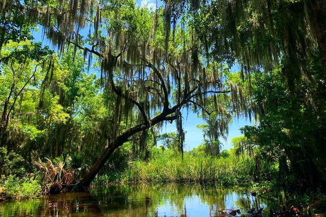 New Orleans Swamp Tour Boat Adventure With Transportation - Transportation Details