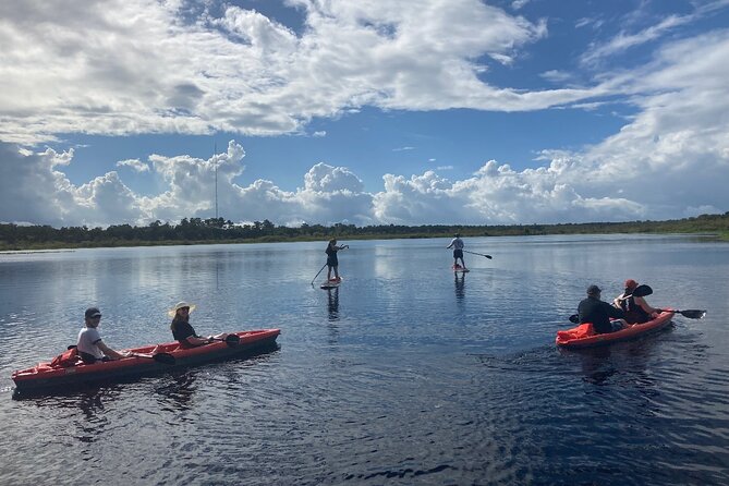 New Smyrna Dolphin and Manatee Adventure Tour - Logistics and Booking Information