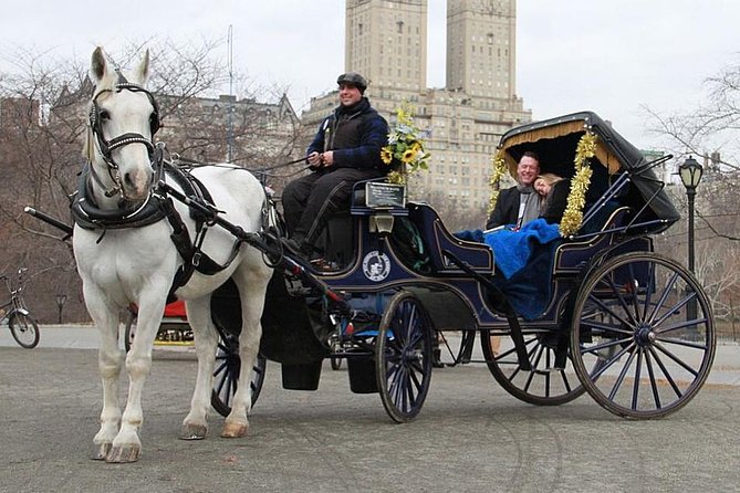 New York City: Central Park Private Horse-and-Carriage Ride (Mar ) - Experience Highlights