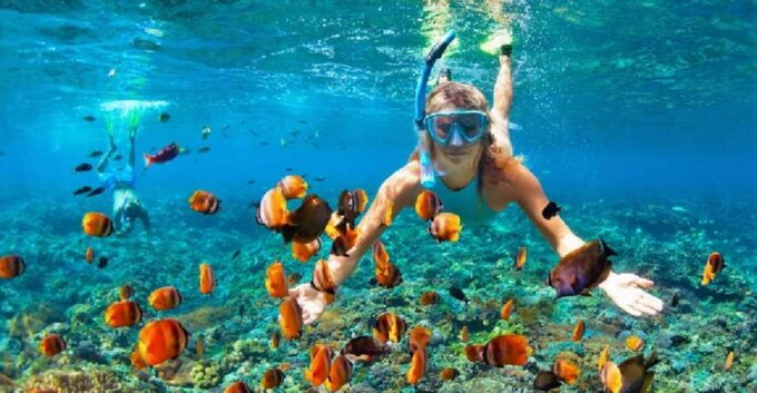 Nha Trang Fishing Village and Snorkelling Private Tour - Activity Highlights