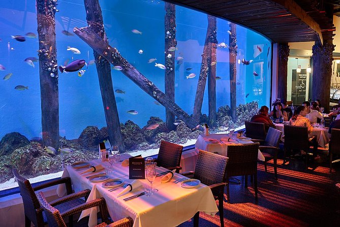 Night at the Aquarium Tour & 2 Course Dinner - Booking Information