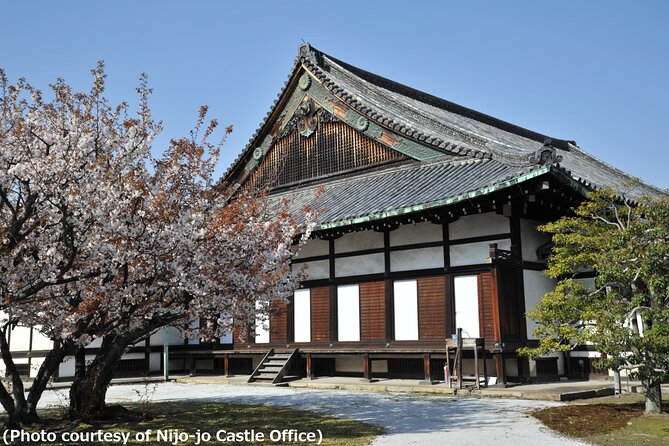 Nijo Castle, Golden Pavilion, Sanjusangen-Do Tour From Osaka (Mar ) - What to Expect