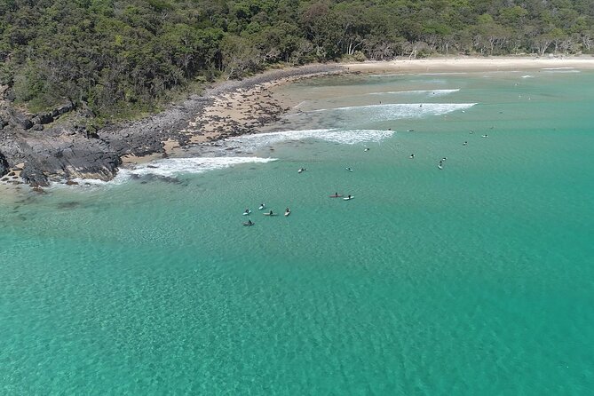 Noosa National Park & Wild Dolphin Safari - Meeting Point Details