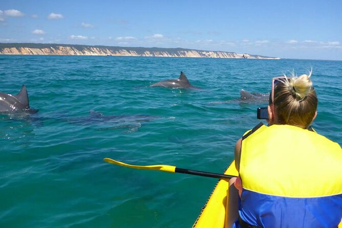 Noosa to Double Island Point Kayaking With Dolphins Day Trip  - Noosa & Sunshine Coast - Itinerary Details