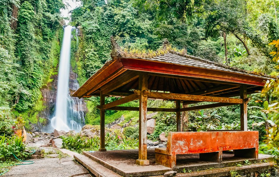 North Bali: Sunrise Tour With Dolphins, Waterfalls & Temples - Activity Details