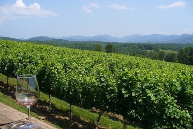 North Georgia Wine Country Tour From Atlanta - Inclusions and Highlights