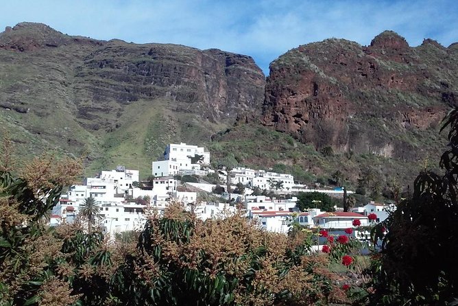 North Gran Canaria Highlights Full-Day Tour From Las Palmas - Discover Rocque Nublos Magnificence