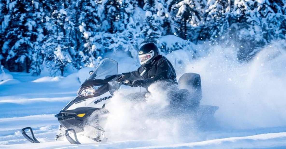 North Pole Alaska: Guided Fairbanks Snowmobile Tour - Snowmobile Experience