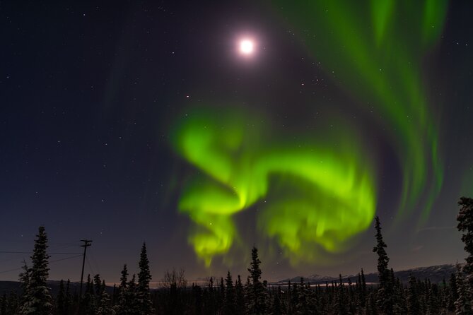 Northern Lights Adventure of a Liftetime From Anchorage - Experience Highlights