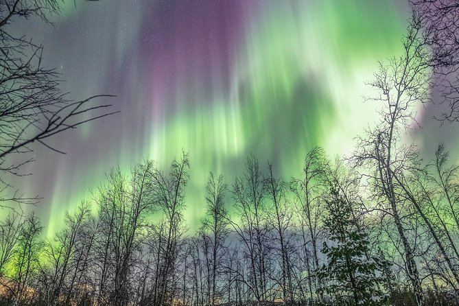 Northern Lights Adventure With Greenlander, 8 People Max - What To Expect