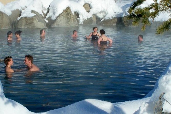 Northern Lights and Chena Hot Springs Tour From Fairbanks - Itinerary Details