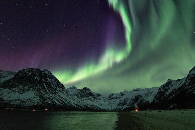 Northern Lights by Minibus. Photos Under the Lights Included. Tromso - Photography Opportunities