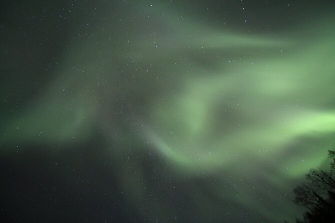 Northern Lights Murphy Dome Viewing in Fairbanks - Reviews