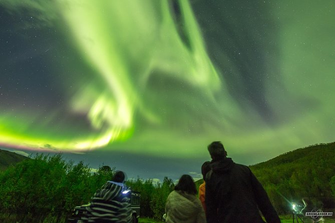 Northern Lights Private Tour With Your Special Ones - Greenlander - Expert Guides for Nighttime Exploration