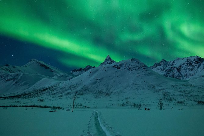 Northern Lights Tour From Tromsø - Traveler Experiences and Reviews