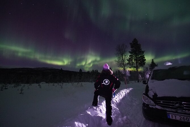 Northern Lights Tour With Alta Adventure - Logistics and Pickup Details