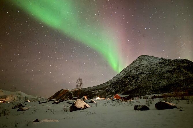 Northern Lights Tour With Hot Food and Drinks in Tromso - What to Bring
