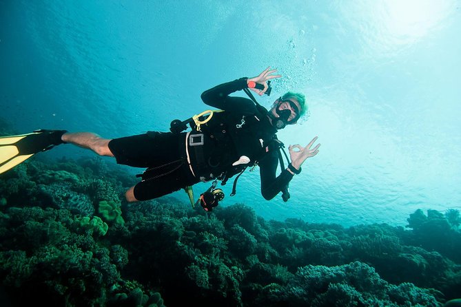Nusa Penida Two Dives Trip for Certified Divers - Equipment Provided