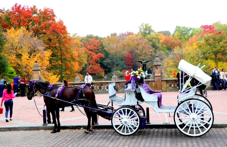 NYC: Central Park Horse-Drawn Carriage Ride (up to 4 Adults) - Review Summary