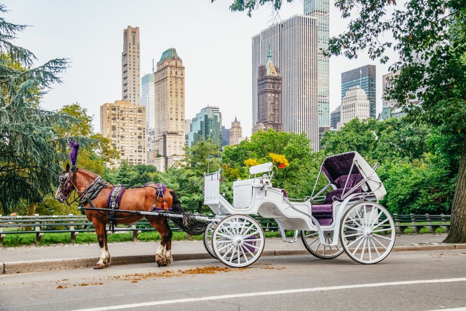 NYC: Guided Central Park Horse Carriage Ride - Tour Highlights