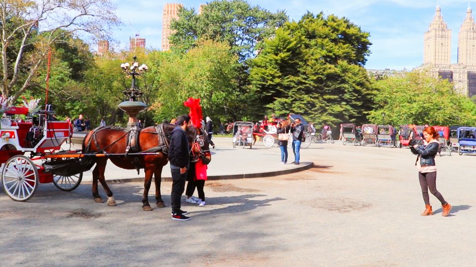 NYC: Guided Standard Central Park Carriage Ride (4 Adults) - Experience Highlights