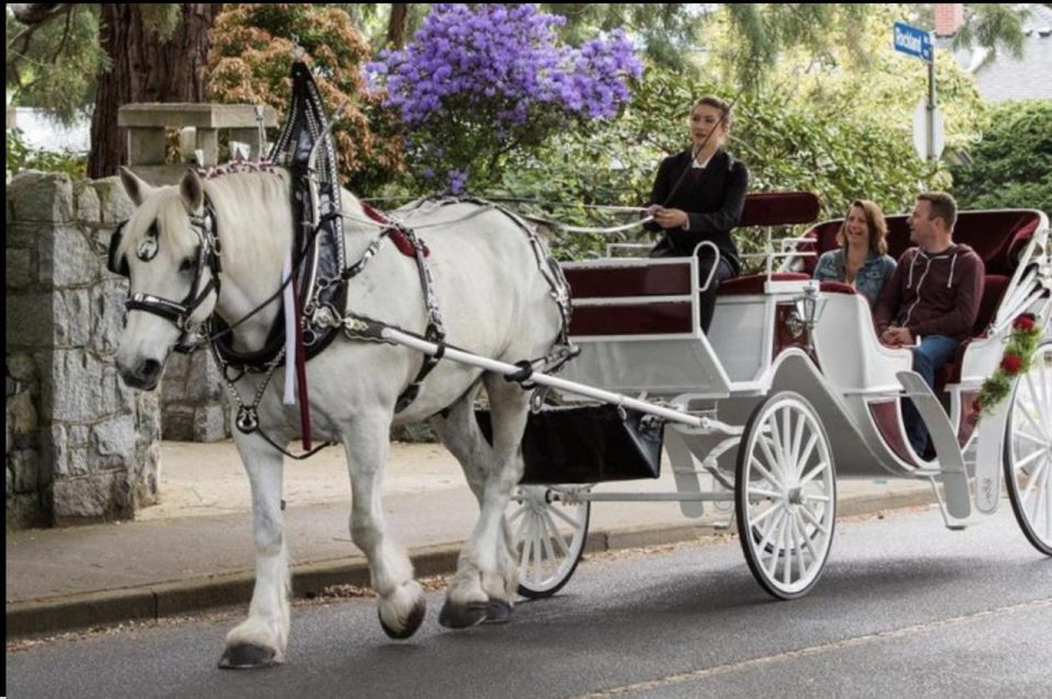 NYC: Private Central Park Horse Carriage Ride With Guide - Experience Highlights