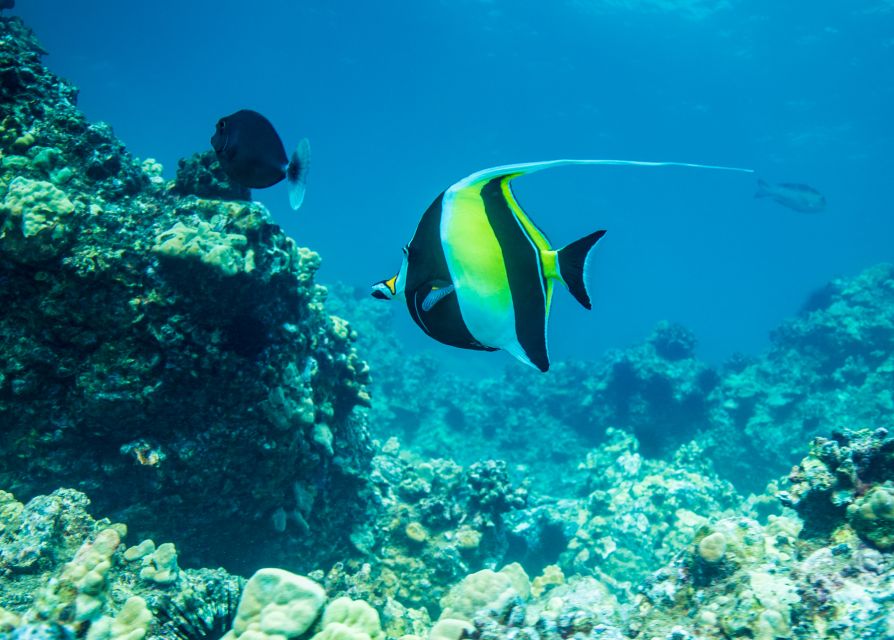 Oahu: Circle Island Snorkeling Tour - Experience Highlights