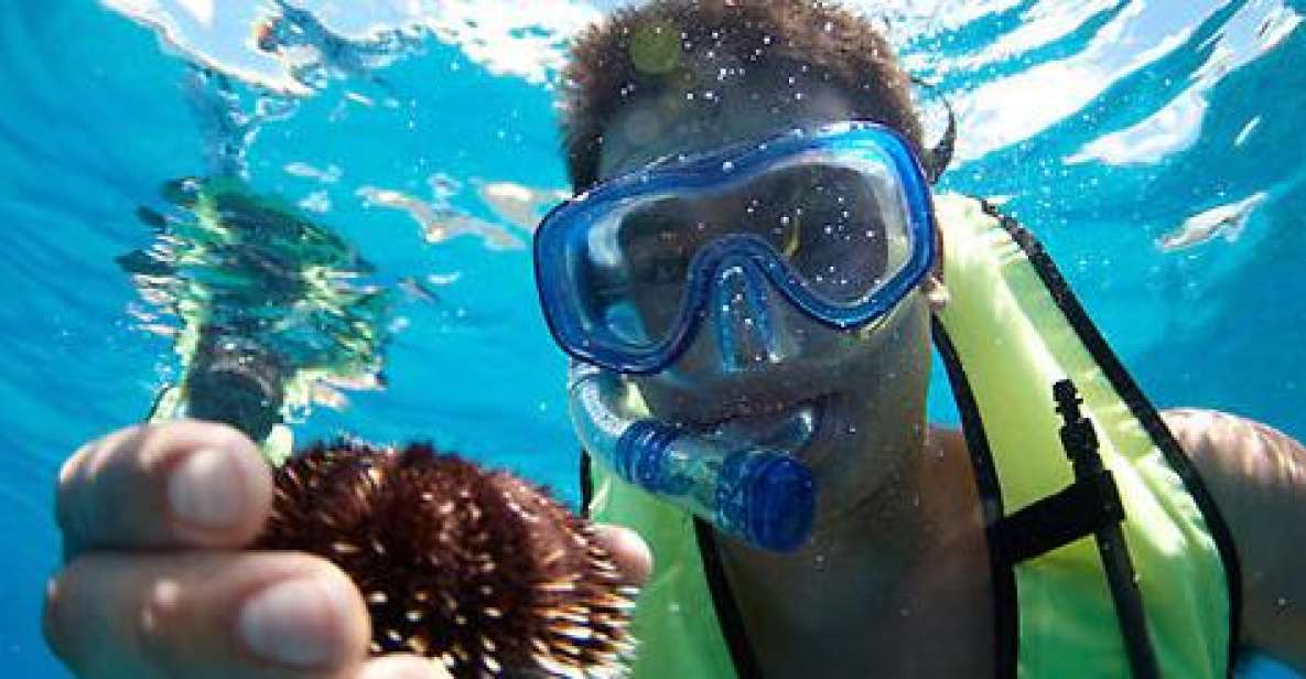 Oahu: Hilton Hawaiian Village Afternoon Snorkel Tour - Location and Catamaran Features