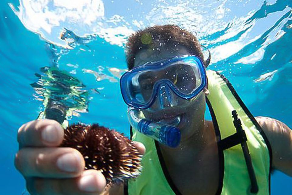 Oahu: Hilton Hawaiian Village Morning Snorkel With Lunch - Exciting Experience Highlights