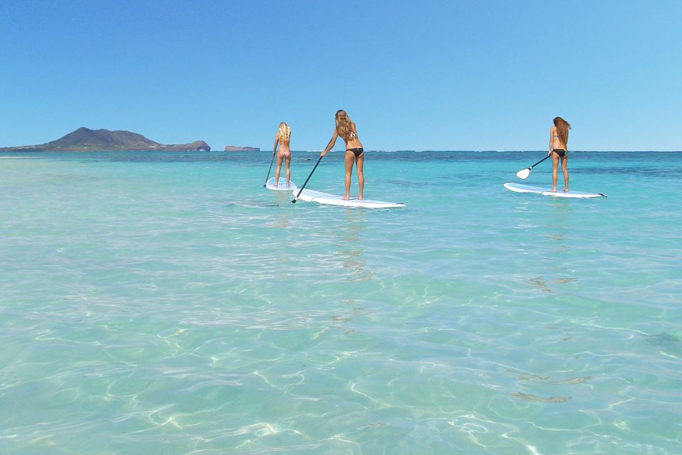 Oahu: Kailua Stand Up Paddle Board Lesson - Experience Highlights