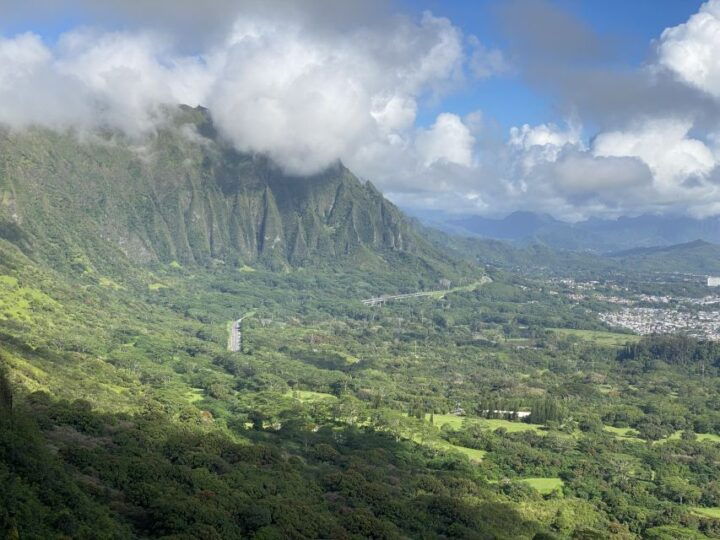 Oahu: Private Full-Day Foodie & Sightseeing Tour - Tour Experience Overview